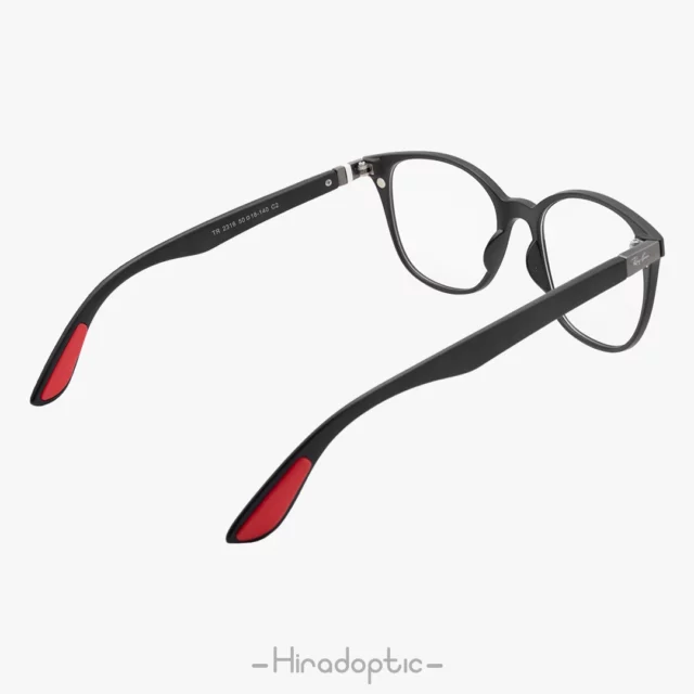 خرید عینک مگنتی ریبن 2316 - Rayban TR2316